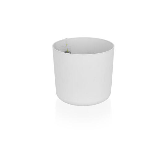 Flora Aqua 25 cm